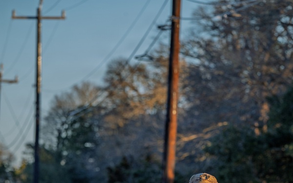 2026 Best Medic Competition