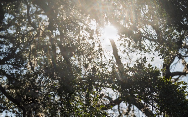 2026 Best Medic Competition