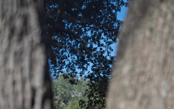 2026 Best Medic Competition