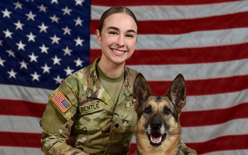 Military Working Dog