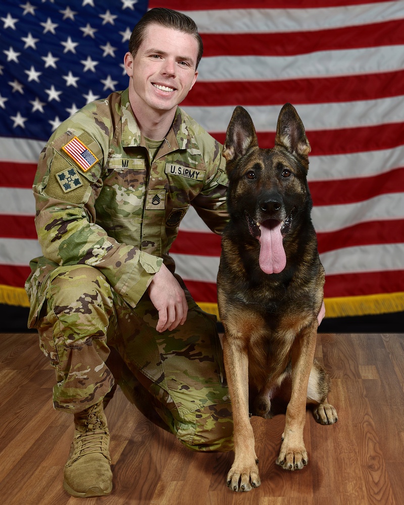 Military Working Dog