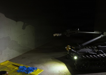 CBRN and EOD Marines Strengthen Hazard Response Capabilities