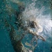 U.S. Marines participate in Water Survival Advanced Course