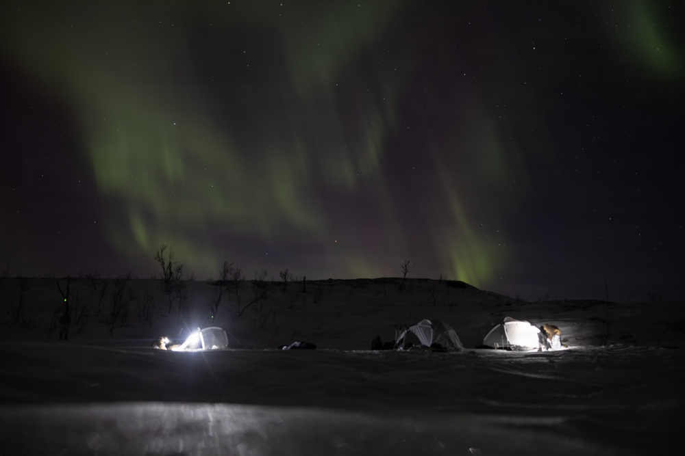CORE26 | U.S. Marines and Sailors Learn Arctic Survival Skills in Norway