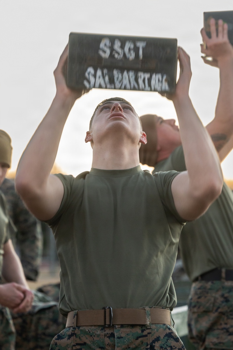 Martial Arts Instructor Course CFT
