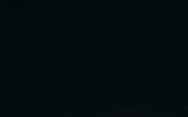 1SFG(A) conducts internal ranger assessment phase