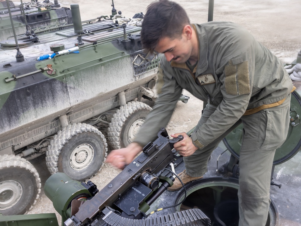 2nd Assault Amphibian Battalion Collective Gunnery Events