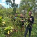 JBPHH personnel help preserve Haiku Valley