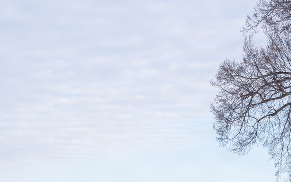 National Guard conducts winter presence patrols near National Mall