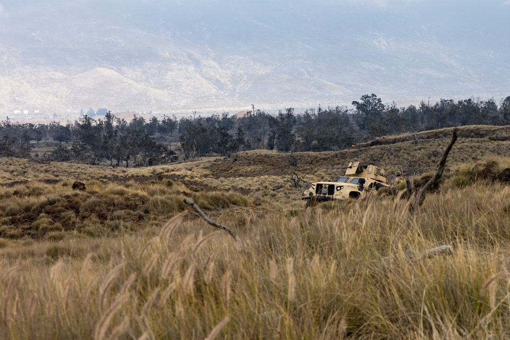 3rd LCT Marines with Hunter Killer rehearse platoon attacks at PTA