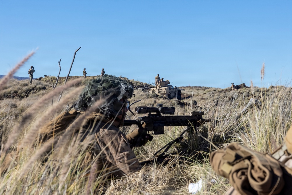 3rd LCT Marines with Hunter Killer execute live-fire platoon attacks at PTA