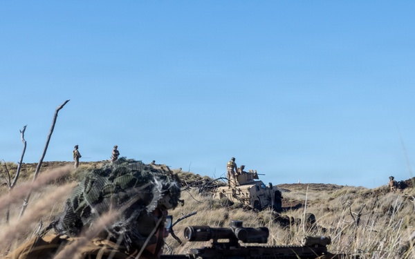 3rd LCT Marines with Hunter Killer execute live-fire platoon attacks at PTA