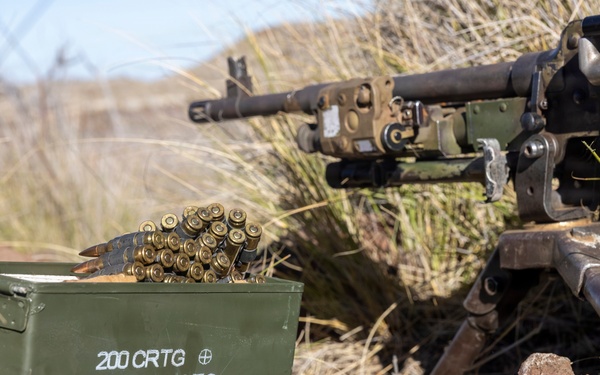 3rd LCT Marines with Hunter Killer execute live-fire platoon attacks at PTA