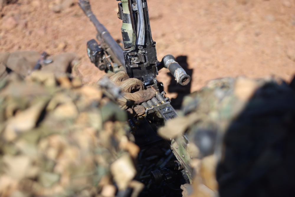3rd LCT Marines with Hunter Killer execute live-fire platoon attacks at PTA