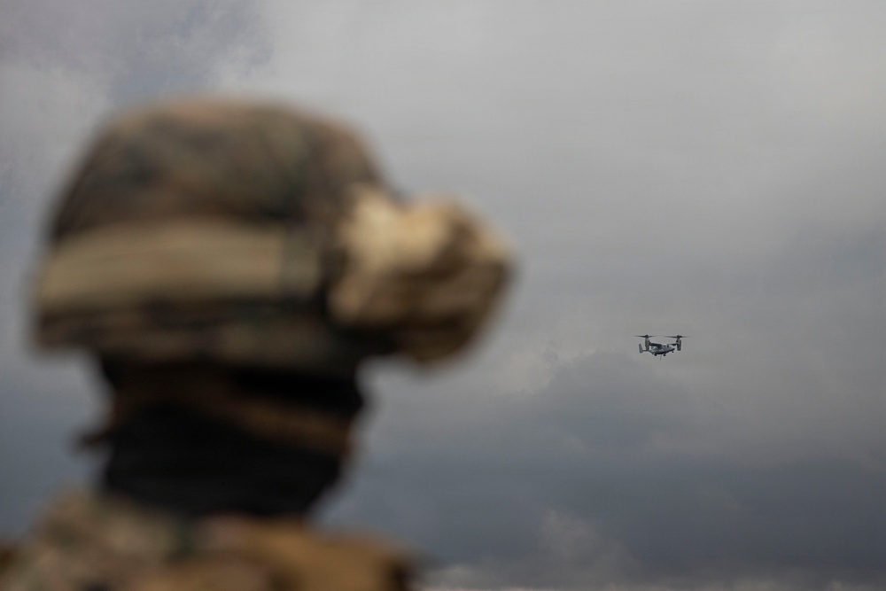 3rd LLB participates in a helicopter support team training exercise at PTA