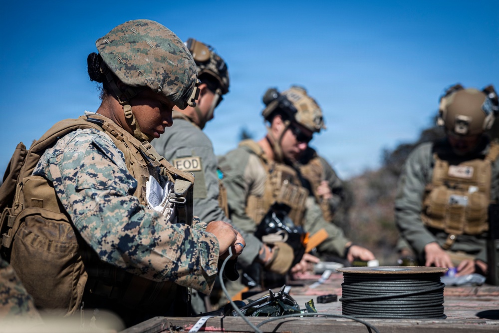 3rd LLB executes a demolition live-fire range at PTA