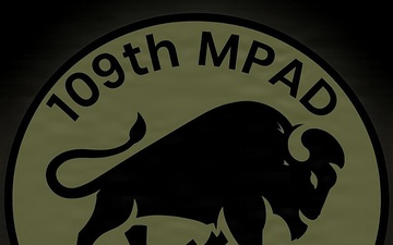 Bison logo