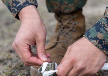 24th MEU MAGTAF-Next: CLB-8 and VMM-365 ADGR