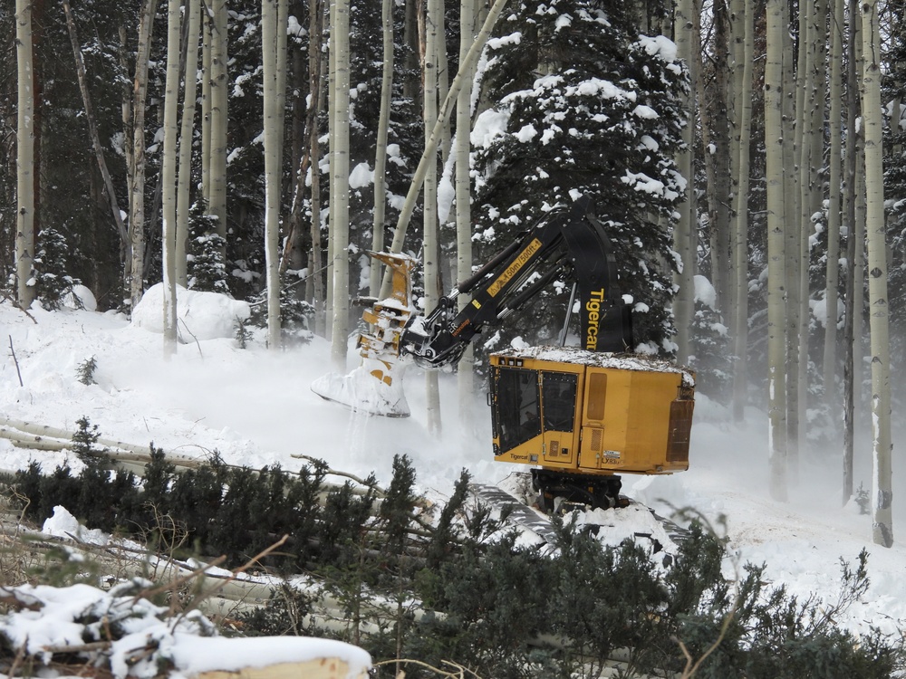 Fourmile Forest Thinning Project