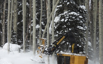 Fourmile Forest Thinning Project