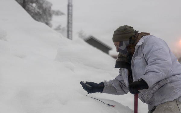 Recon Marines sharpen winter warfighting skills