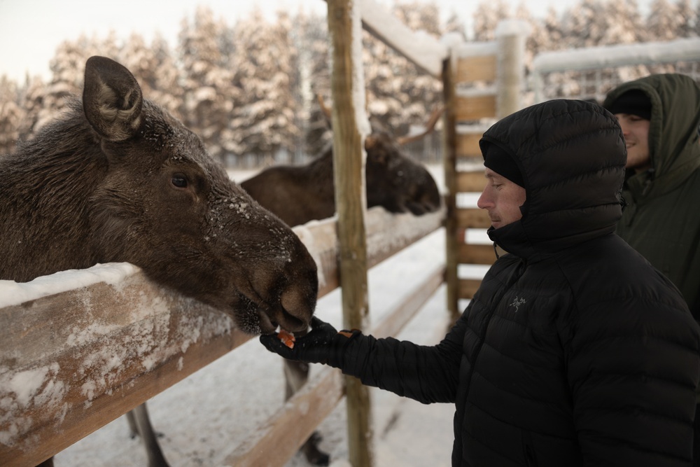 Recon Marines sharpen winter warfighting skills