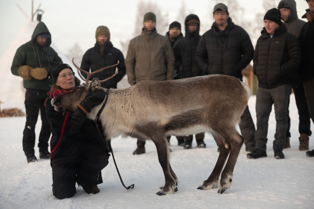 Recon Marines sharpen winter warfighting skills