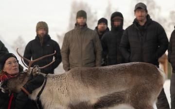 Recon Marines sharpen winter warfighting skills