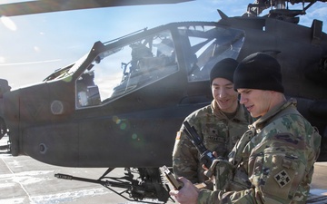 Ivy Sting 4: Apache Training