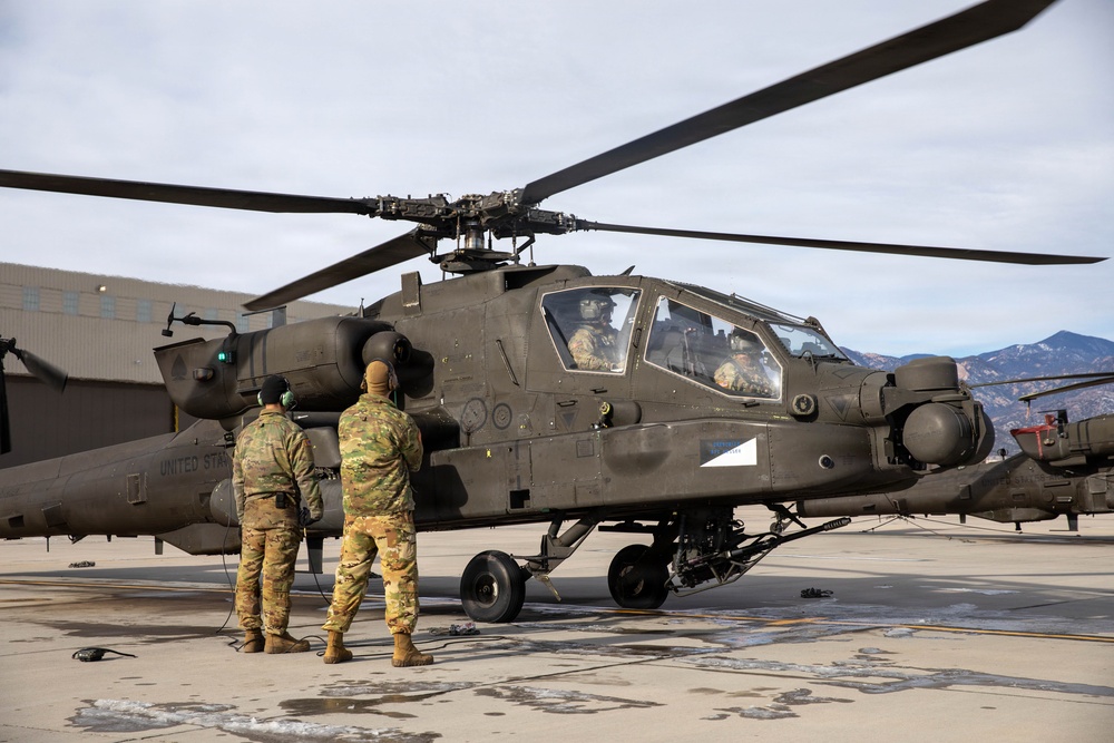 Ivy Sting 4: Apache Training