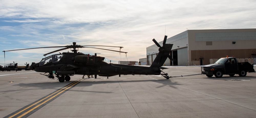 Ivy Sting 4: Apache Training