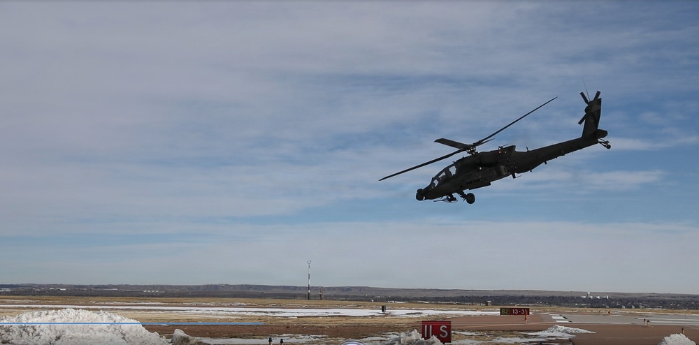 Ivy Sting 4: Apache Training