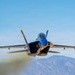 The Blue Angels’ conduct winter training