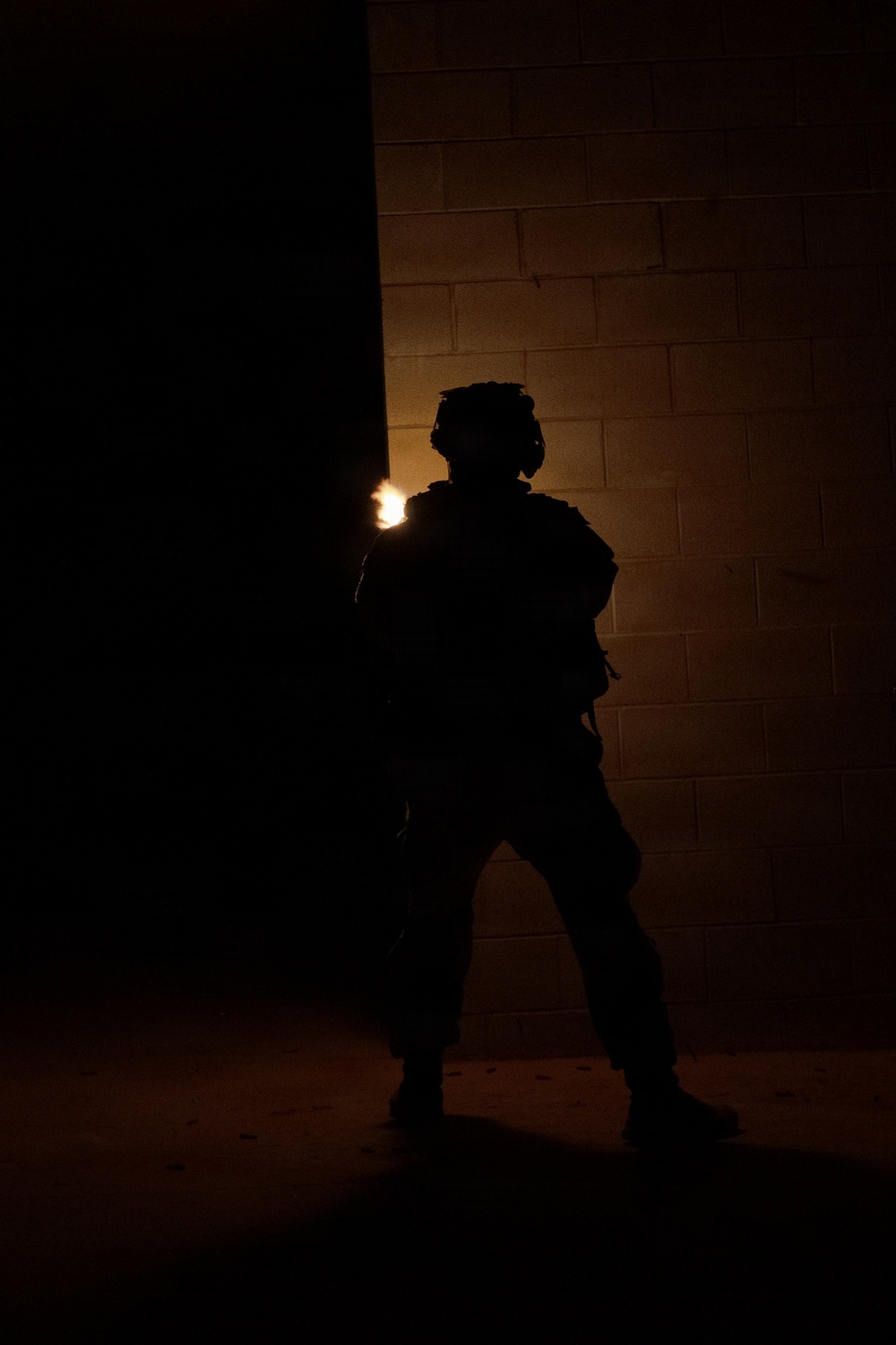 Panther Avalanche - Joint Forcible Entry