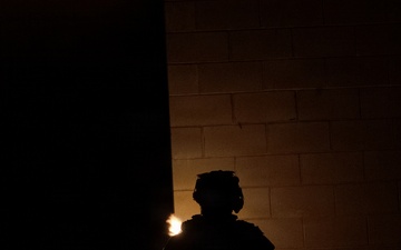 Panther Avalanche - Joint Forcible Entry