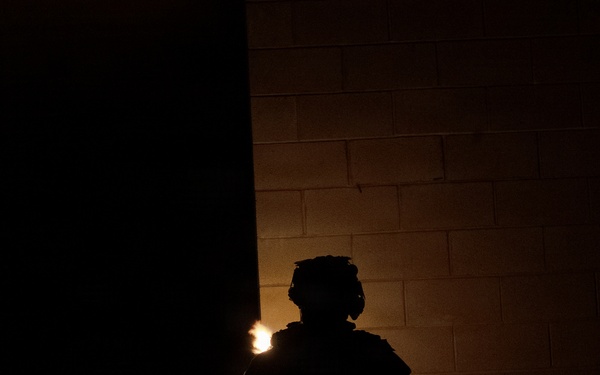 Panther Avalanche - Joint Forcible Entry