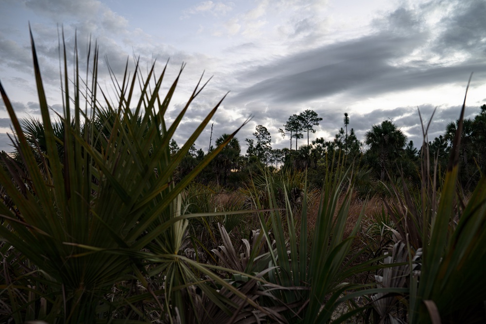 Picayune Strand Restoration Project 2026