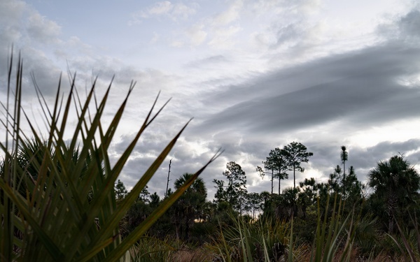 Picayune Strand Restoration Project 2026
