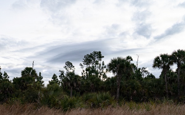 Picayune Strand Restoration Project 2026