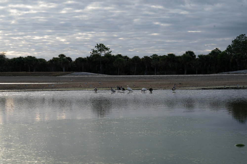 Picayune Strand Restoration Project 2026