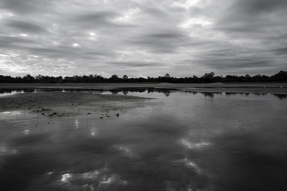 Picayune Strand Restoration Project 2026