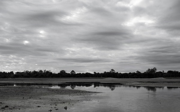 Picayune Strand Restoration Project 2026