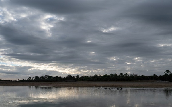 Picayune Strand Restoration Project 2026