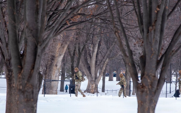 Winter Patrols Near the Lincoln Memorial