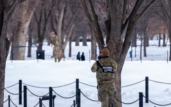 Winter Patrols Near the Lincoln Memorial