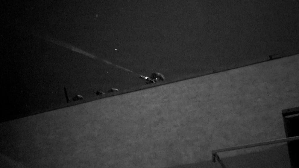 Paratroopers assigned to 3rd Brigade Combat Team, 82nd Airborne Division assault an objective after a joint forcible entry during Panther Avalanche at Fort Bragg, North Carolina, Jan. 28, 2026.