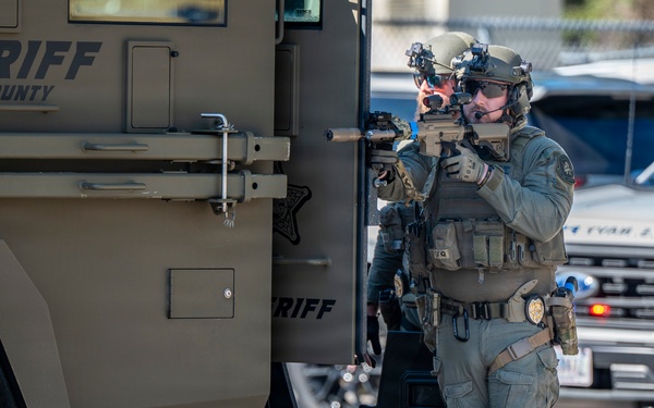 Citadel Shield-Solid Curtain 2026