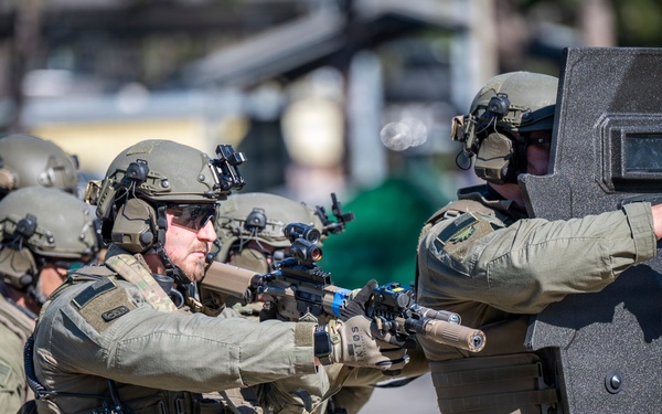 Citadel Shield-Solid Curtain 2026