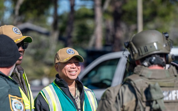 Citadel Shield-Solid Curtain 2026