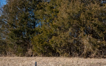 Fort Leonard Wood Soldiers train to encounter drones in combat zones